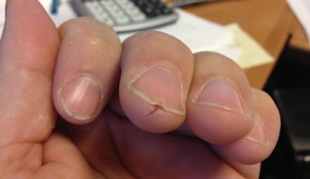 “The best purchase I have ever made.”